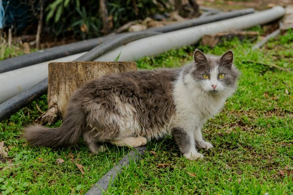 Comment gérer la peur du dentiste ?